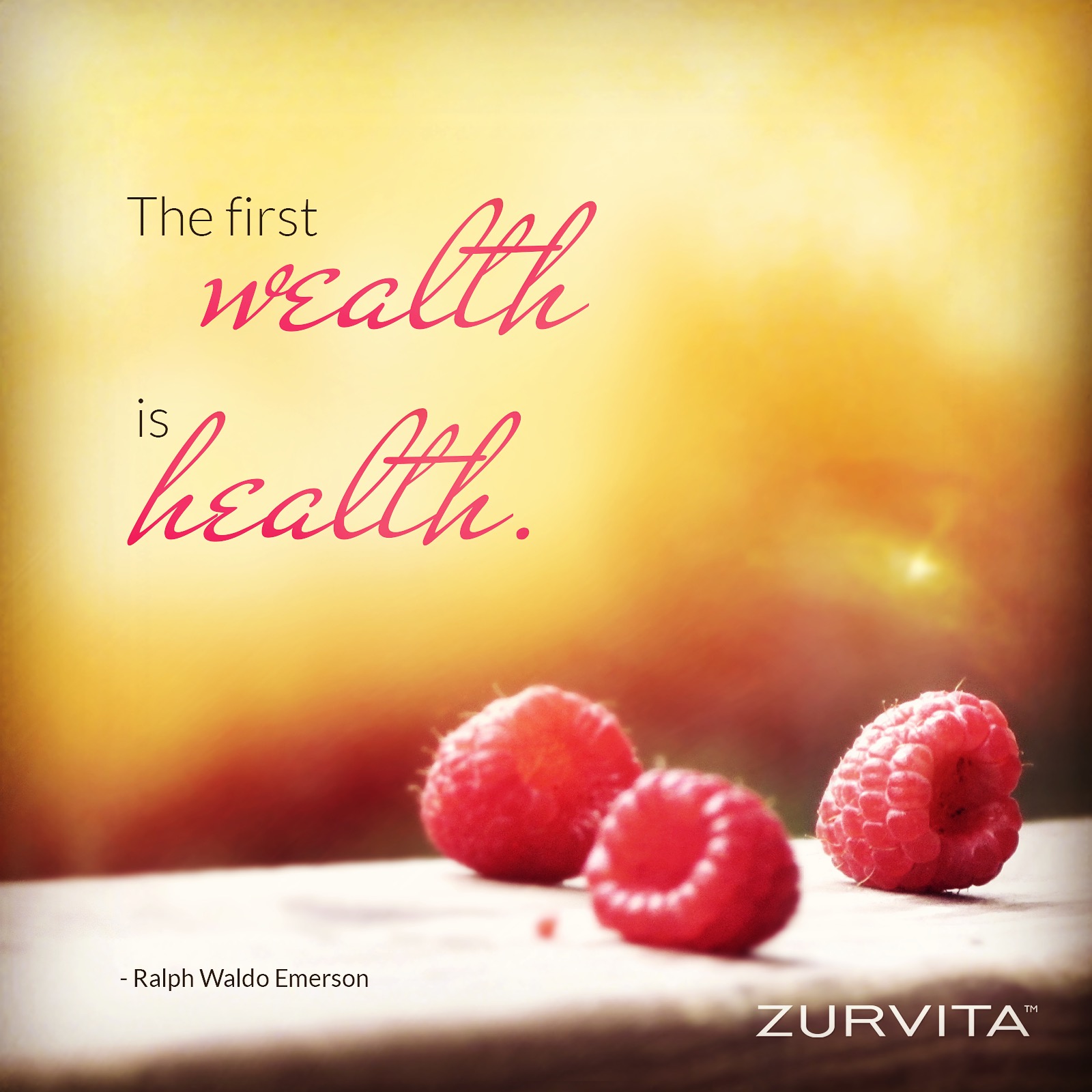 Zurvita Wellness